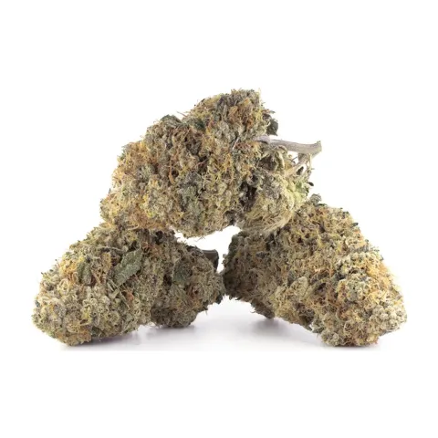 Fleurs CBD OG Kush – Indoor Cannabis – vue principale