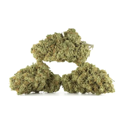 Fleurs CBD Ice Cream Cookie – Indoor Cannabis – vue principale