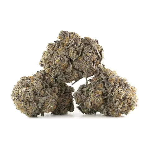 Fleurs CBD Sour Tangie – Indoor Cannabis – vue principale