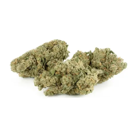 Fleurs CBD Swiss Cheese – Indoor Cannabis – vue principale