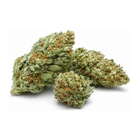 10-OH-HHC Fleur Blueberry – vue principale
