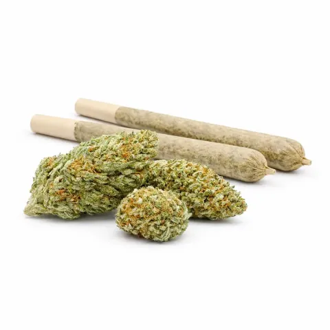 Pre-Roll 10-OH-HHC Fleur Blueberry – vue principale