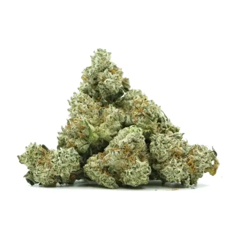 Fleur Sugar Cream GBZ