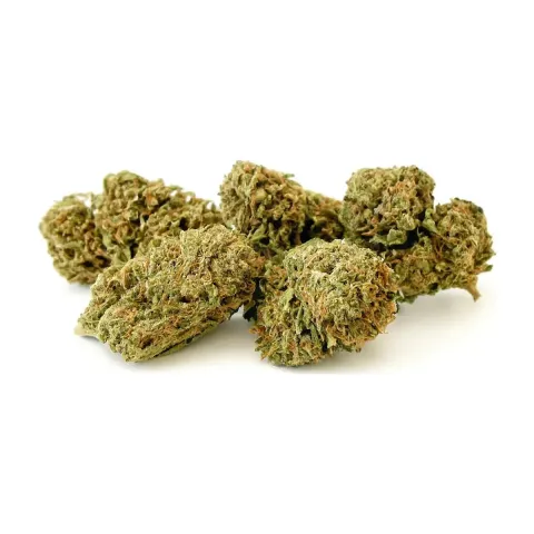 10-OH-HHC Fleur Sorbetto
