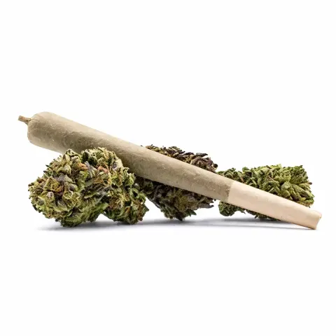 Pre-roll GBZ+