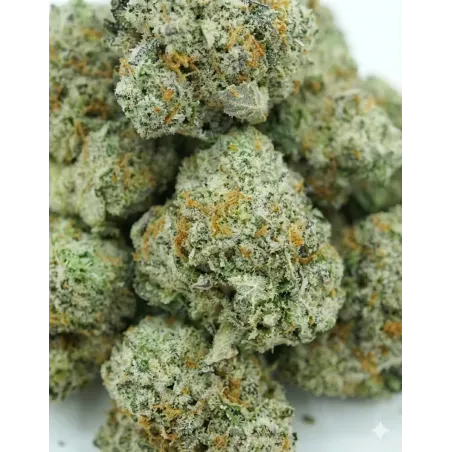 10-OH-HHC Fleur Sugar Cream – gros plan