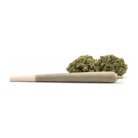 Pre-Roll 10-OH-HHC – vue principale 1