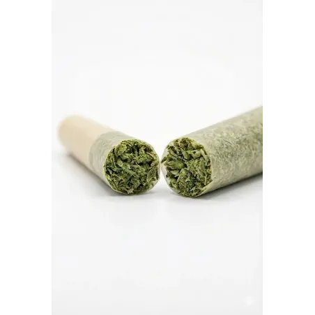 Pre-Roll Swiss Cheese CBD – coupé
