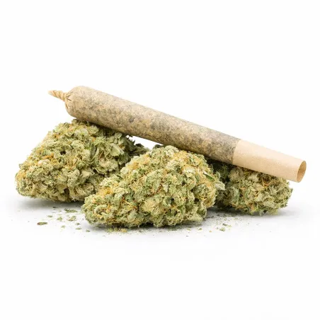 Pre-Roll Swiss Cheese CBD – vue principale