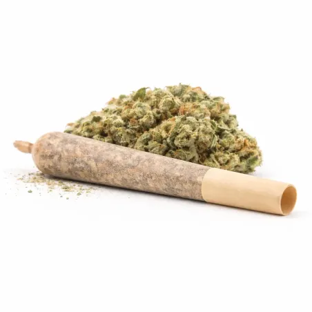 Pre-Roll Swiss Cheese CBD – principal 1