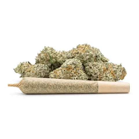 Pre-roll THCX Sugar Cream – vue principale