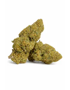 Fleurs THCX Apple Fritter – vue principale