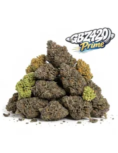 Pack Gbz Prime - Fleurs CBD – vue principale