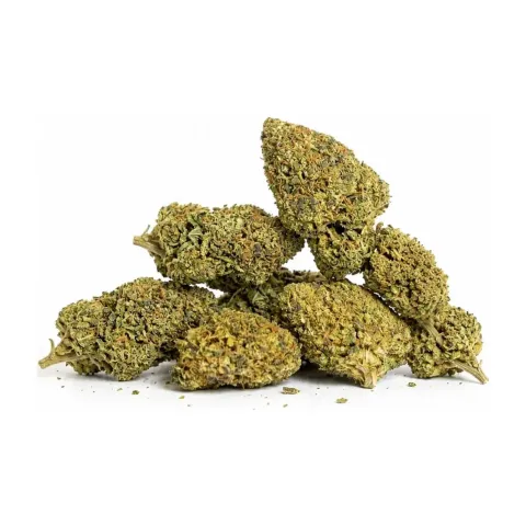 Fleurs THCX Girl Scout Cookie – Gbz420 – vue principale