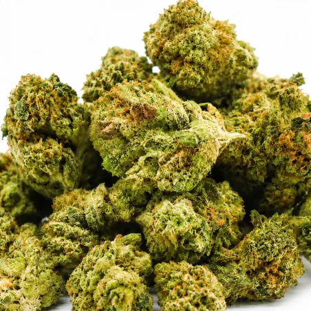 THCX Fleur Power Skunk Medium Buds – gros plan