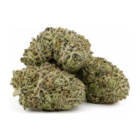 THCX Fleur White Widow
