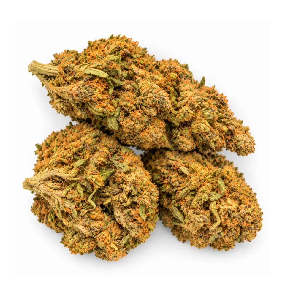 Exclusive GBZ PRIME - THCX Fleur Sweet Purple