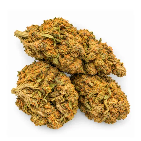Exclusive GBZ PRIME - 10-OH-HHC Fleur Sweet Purple