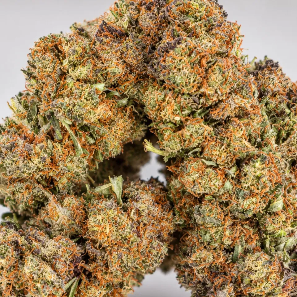 THCX Fleur Premium OG Kush