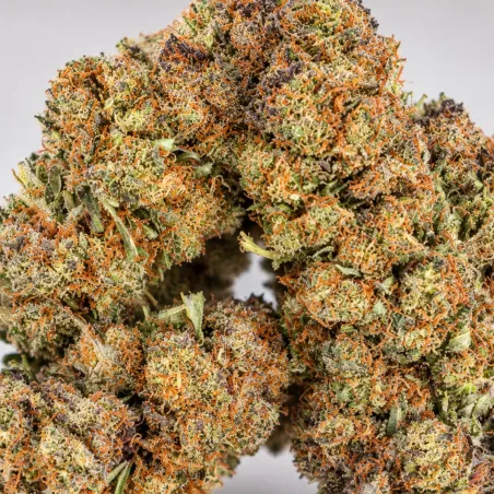 THCX Fleur Premium OG Kush